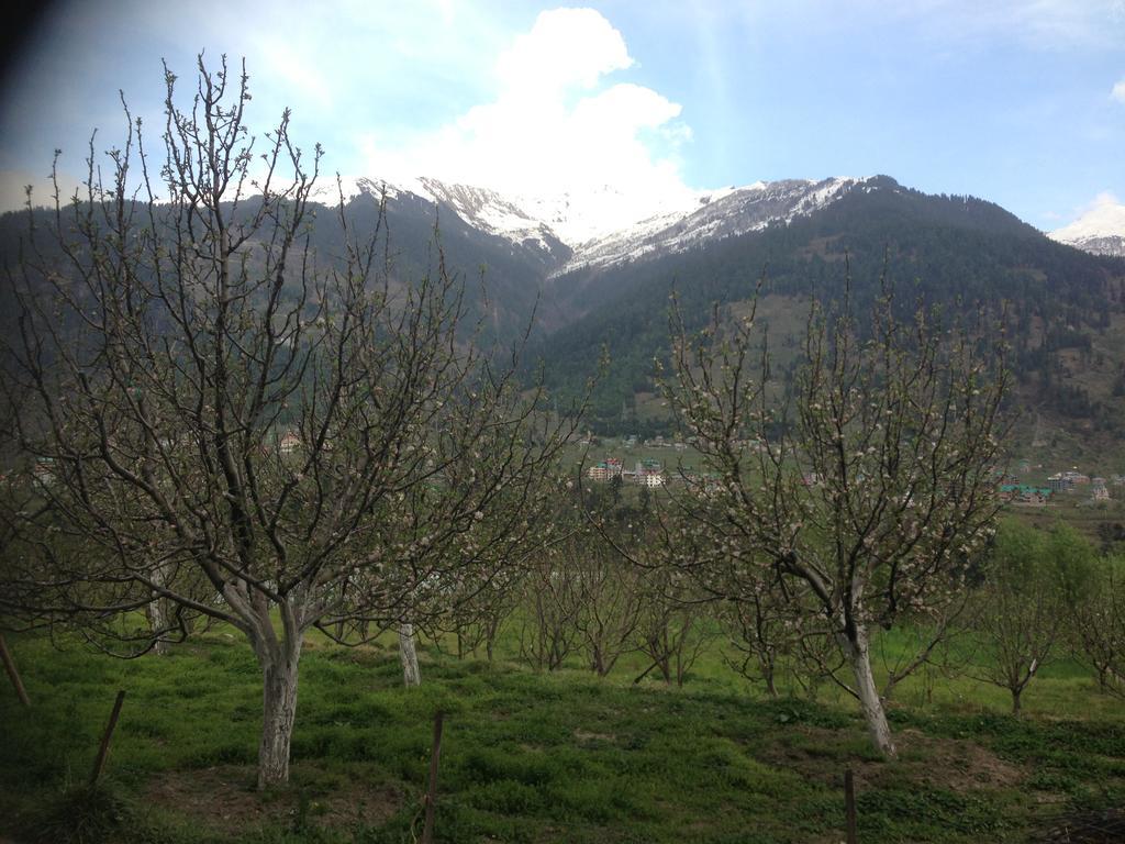 Akash Hills Hotel - Manali (Himachal Pradesh)