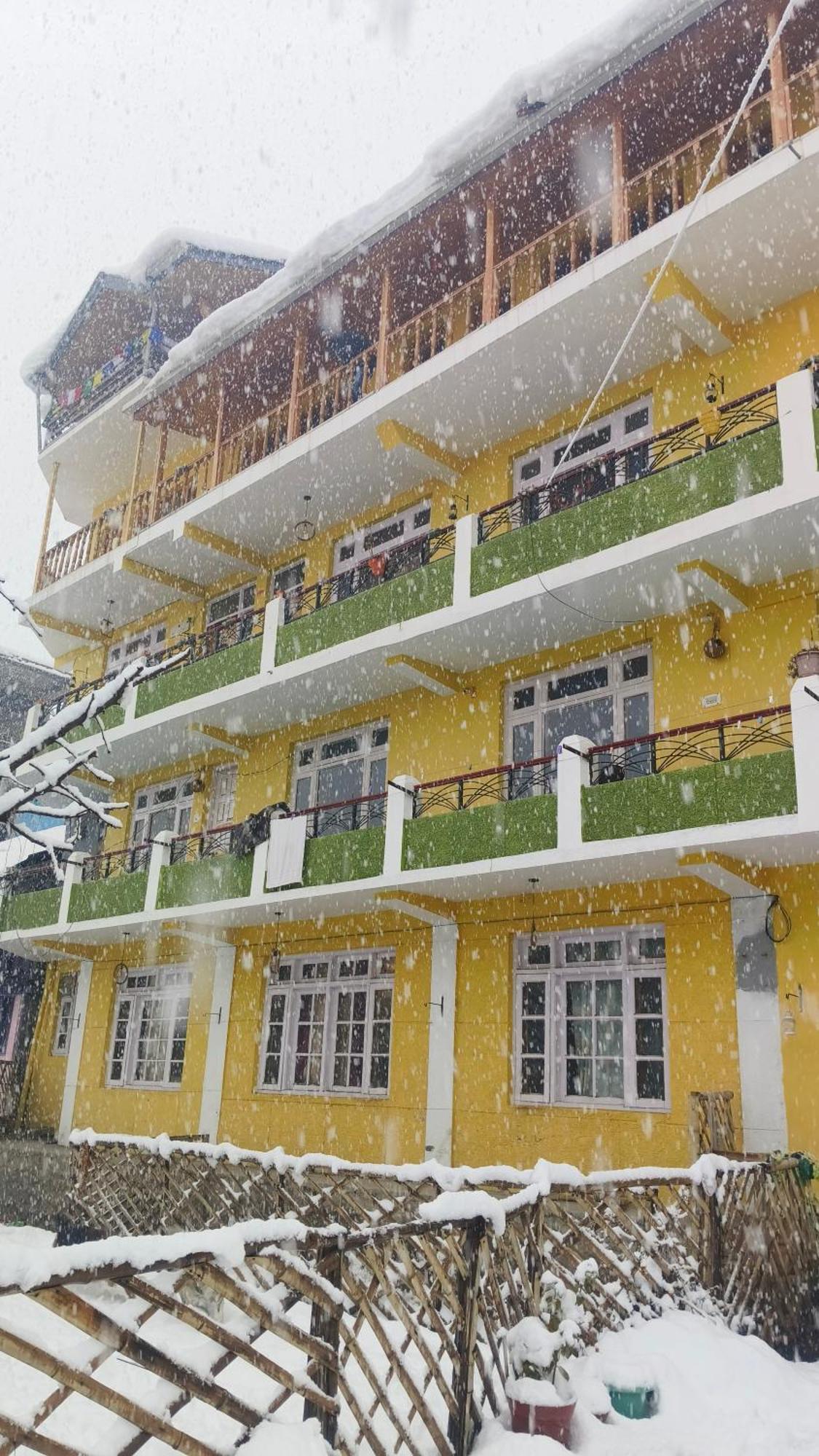 The Homstel Manali Hostel - Manali (Himachal Pradesh)