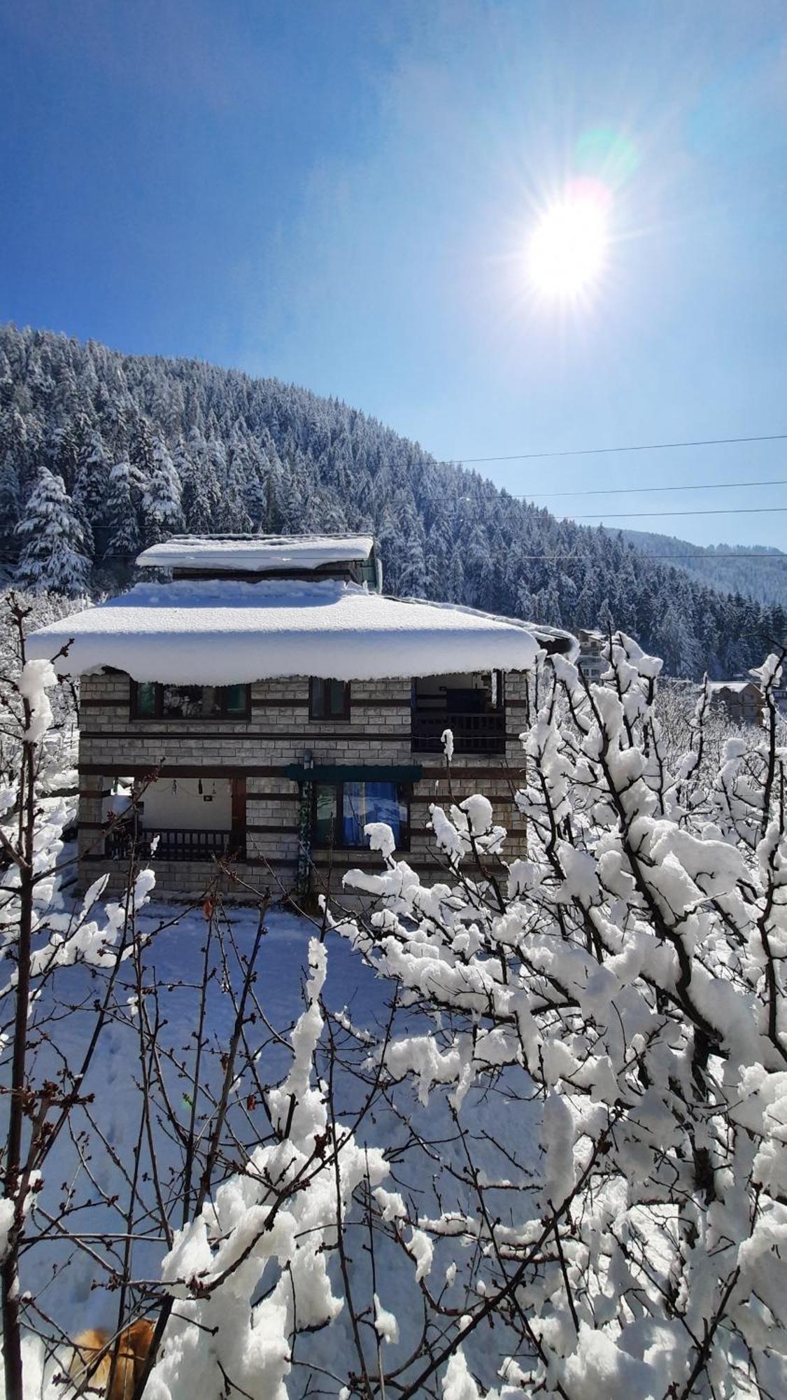 The Hideout - Hiraeth Hostel - Manali (Himachal Pradesh)