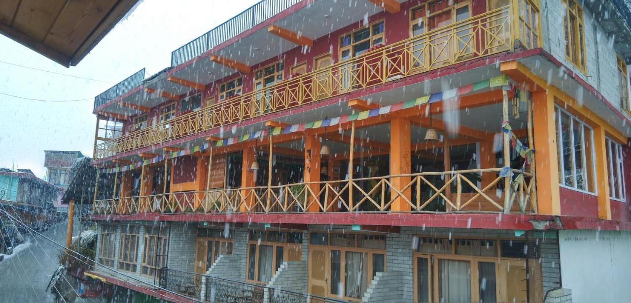 Rasta Cafe And Lodge - Manali (Himachal Pradesh)