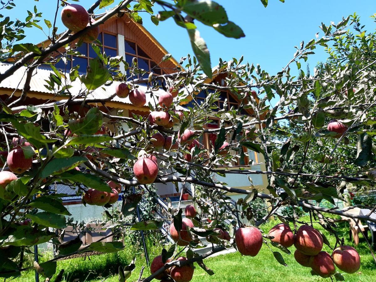 Heavenly Daze Cottage - Manali (Himachal Pradesh)