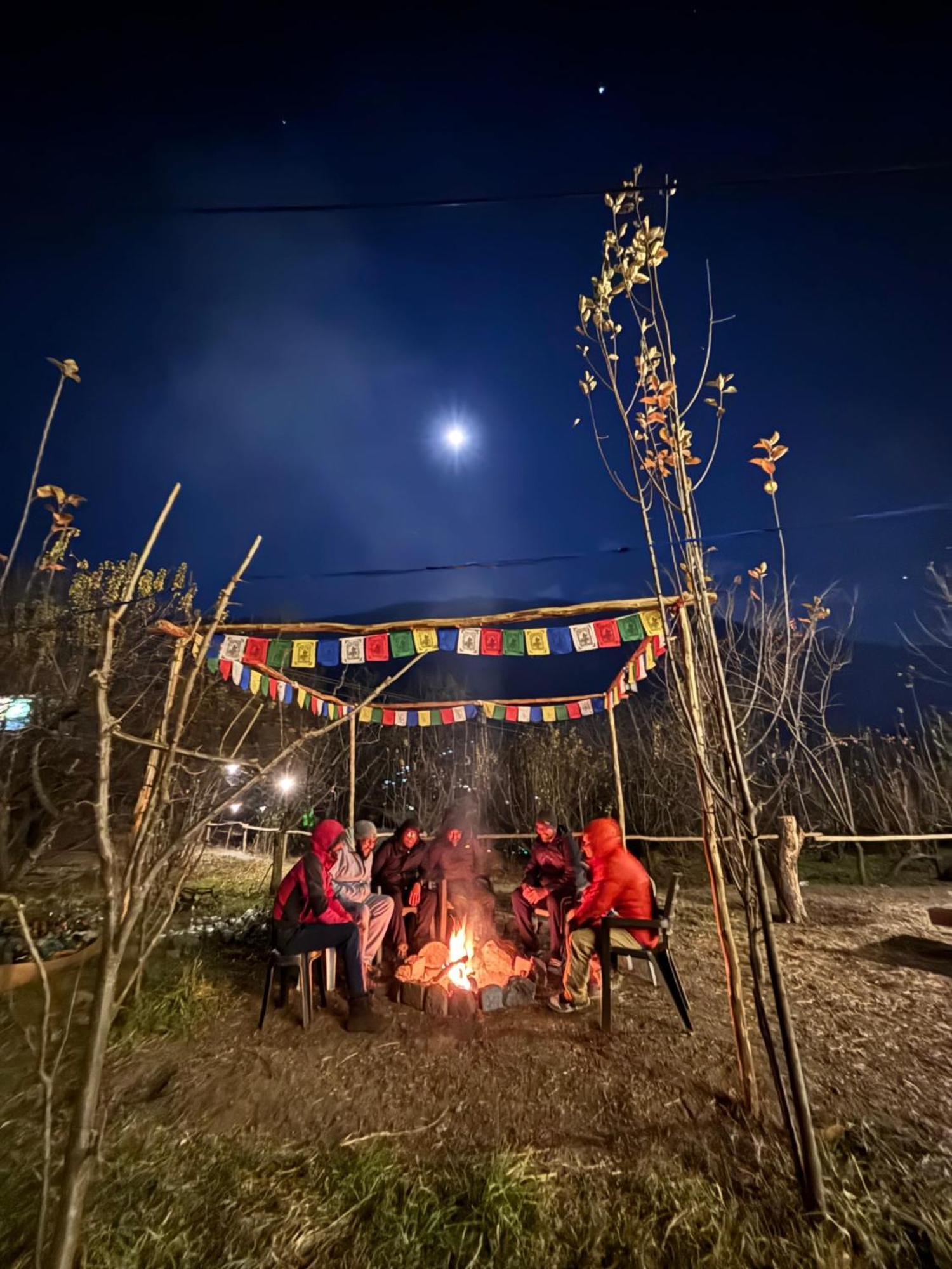 Basecamp Manali Hostel - Manali (Himachal Pradesh)