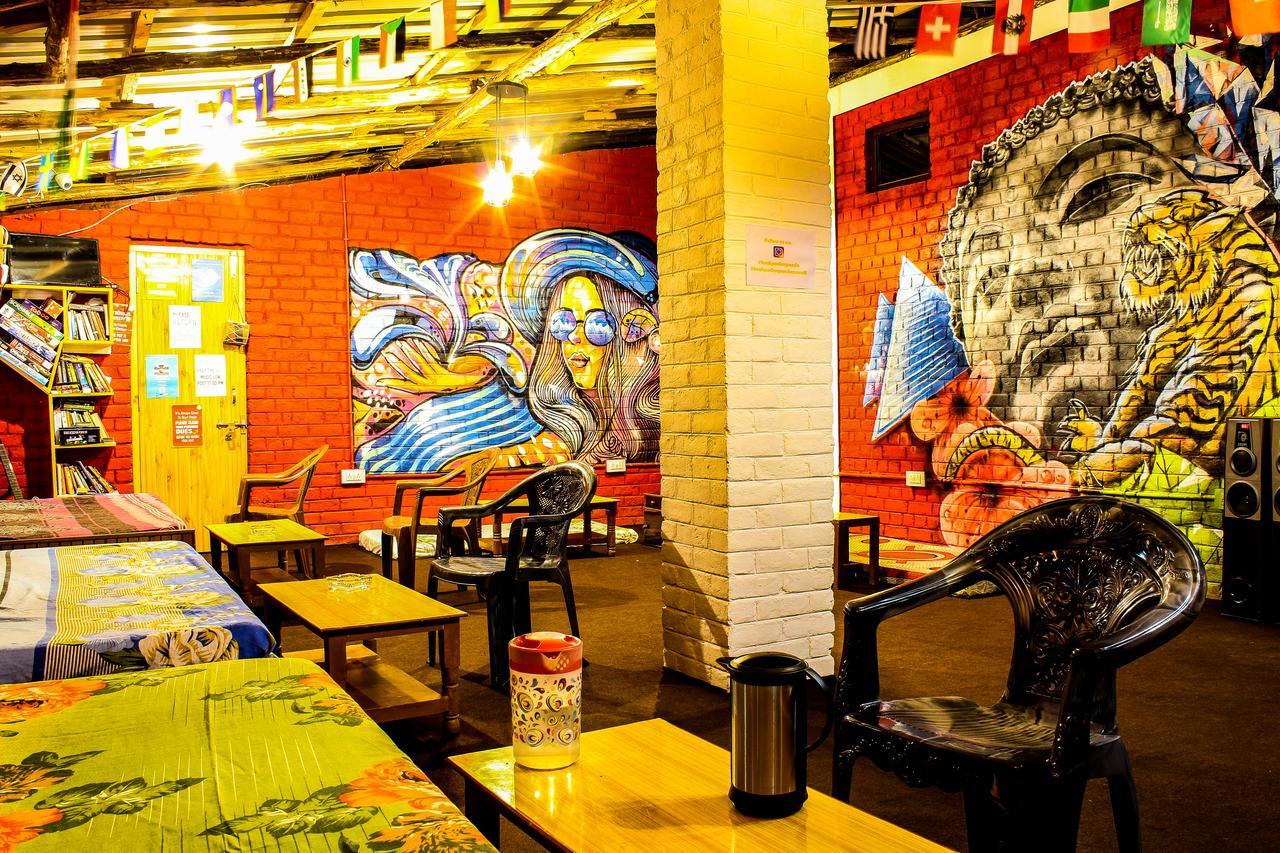 Backpacker Panda Manali Hostel - Manali (Himachal Pradesh)