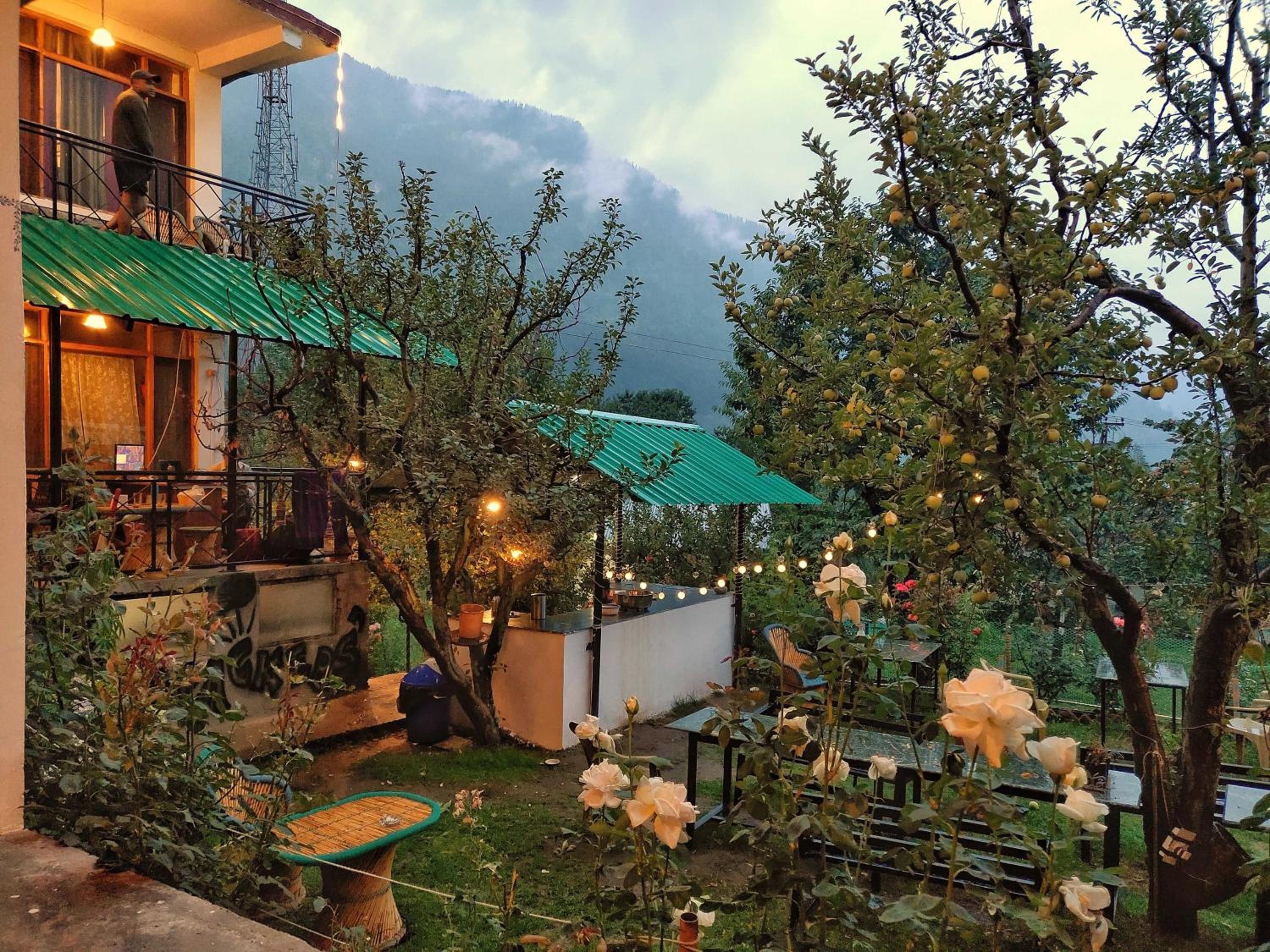Madpackers Manali Hostel - Manali (Himachal Pradesh)