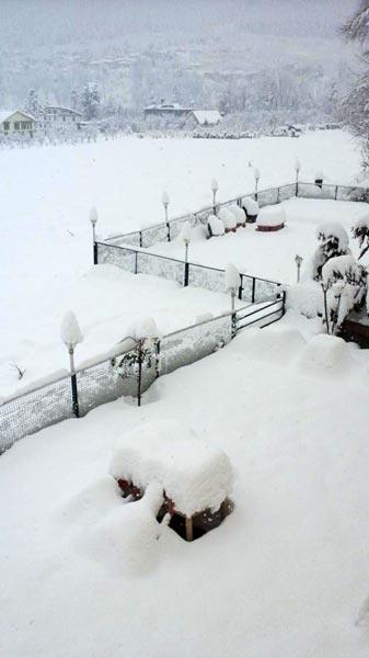 Hotel Mountain Inn - Manali (Himachal Pradesh)