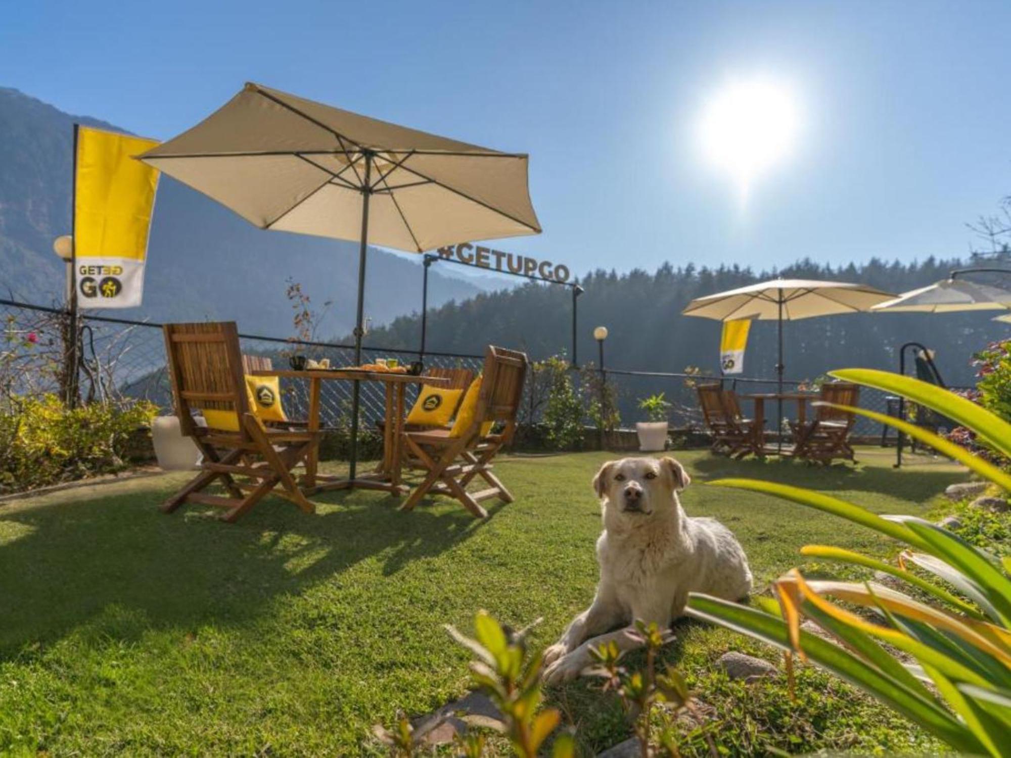 The Hosteller Manali, Old Manali - Manali (Himachal Pradesh)